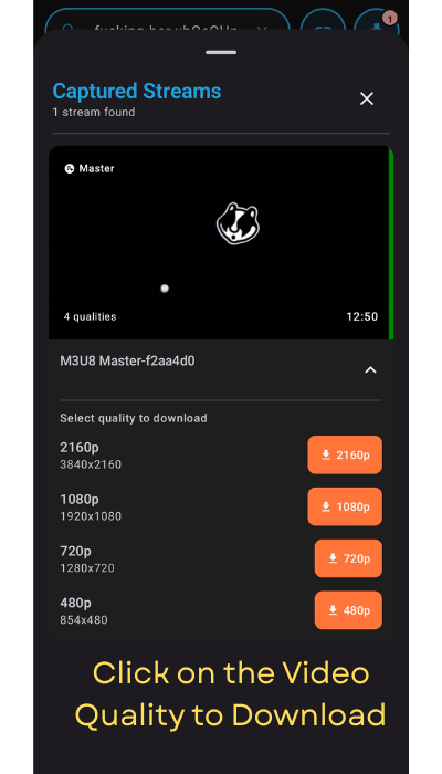 Video Quality